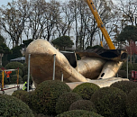 Россиянка не прошла таможню в аэропорту Турции из-за паспорта во рту