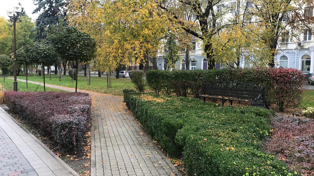 В Краснодаре и крае 29 ноября ожидается постепенное потепление на фоне неустойчивой погоды с моросью и туманом