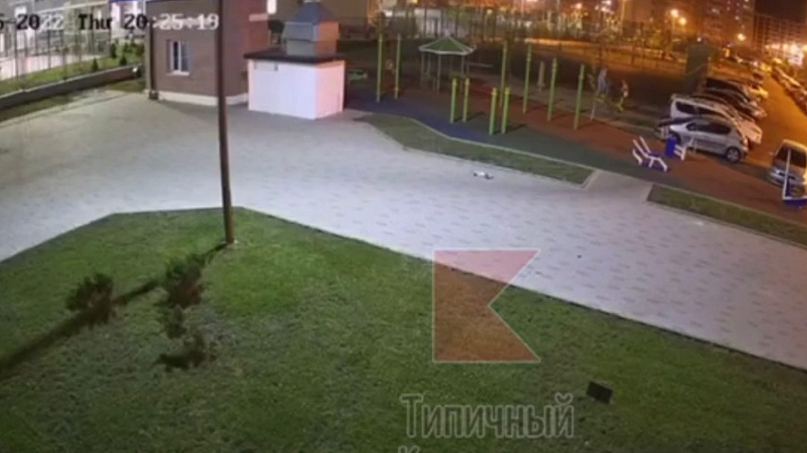 В Краснодаре момент сброса живодерами кошки с балкона многоэтажки попал на видео