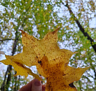 В 2025 году осенний отдых на Кубани открывает новые места, которые выбирают тысячи туристов