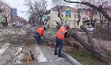 Ураганный ветер повалил деревья и вызвал массовые отключения света в Анапе