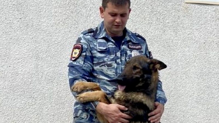 Служебная собака нашла пропавшего ребенка в Краснодарском крае