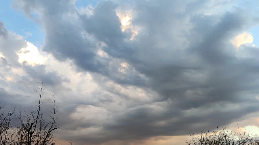 На Кубани штормовое предупреждение: ливни и ветер до 20 м/с