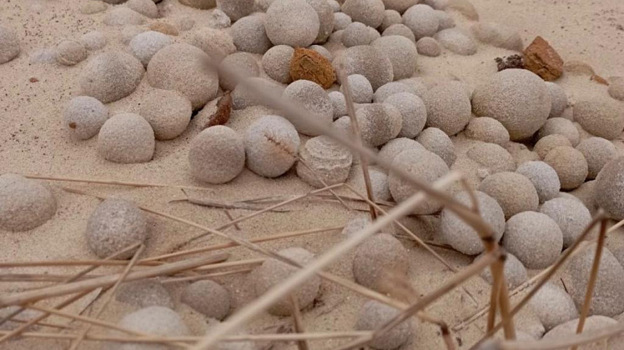 В песчаном карьере Крымска обнаружили необычные шарообразные камни 