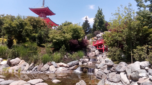 Краснодар наводнили спекулянты, продающие втридорога QR-коды в Японский сад