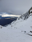 В Сочи туристы съели почти 100 тонн мандаринов за новогодние праздники 