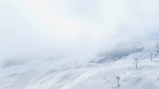 В МЧС предупредили о сильном налипании мокрого снега на провода и деревья в Сочи