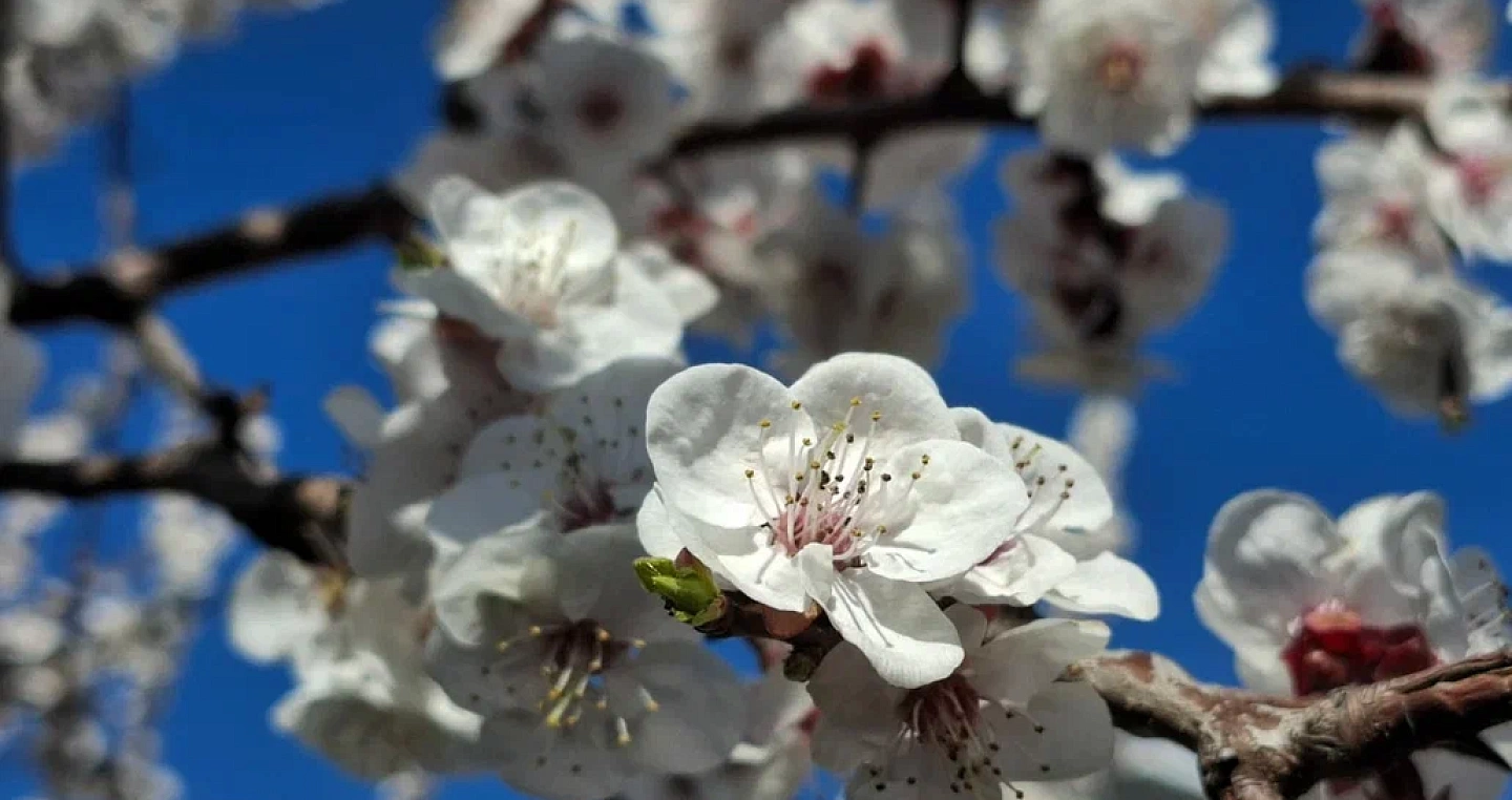 Температура выше нормы установилась на Кубани под влиянием циклона