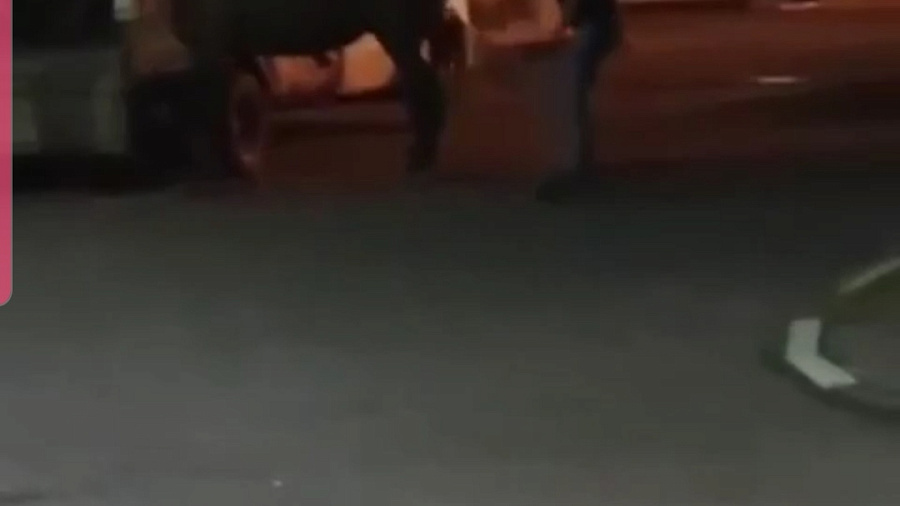Жестокое избиение лошади в Туапсе попало на видео