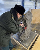 Из России в Европу пытались незаконно вывезти осколок метеорита Алетай стоимостью 323 млн рублей