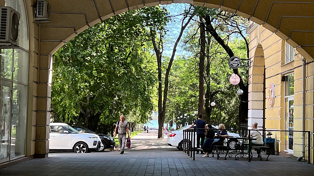 В Новороссийске выявлены деревья, представляющие опасность для здоровья