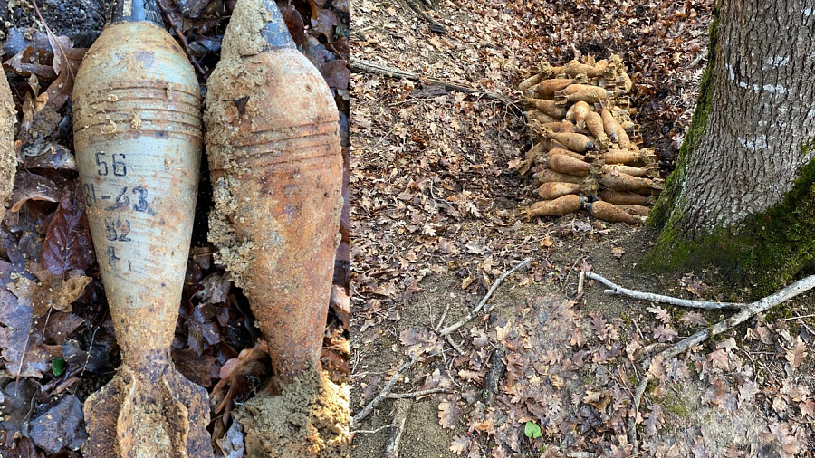В Краснодарском крае в лесу нашли 115 снарядов времен ВОВ