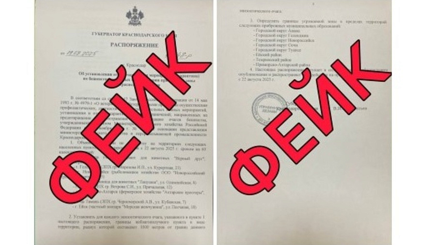 Оперштаб Кубани опроверг фейк о введении карантина по бешенству на прибрежной зоне