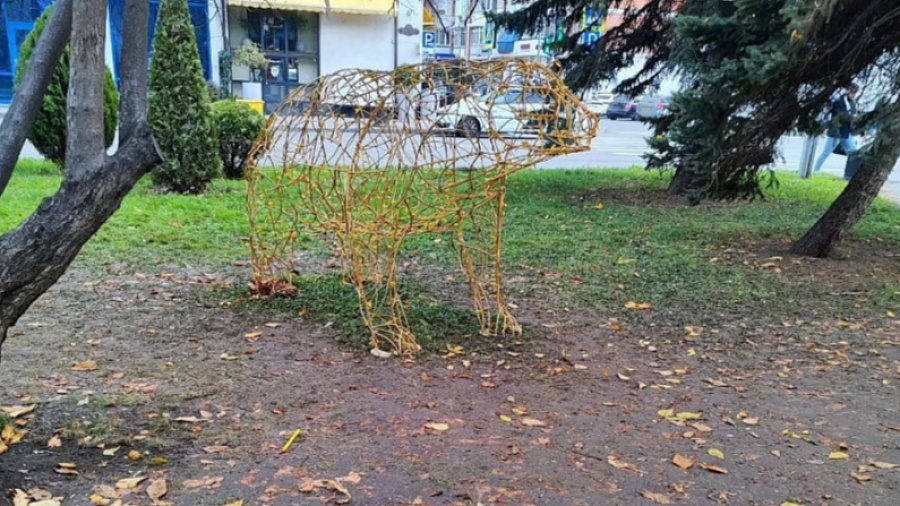 В Краснодаре граждане, желающие сделать фото на фоне новогодней иллюминации, вытоптали газон на улице Красной 