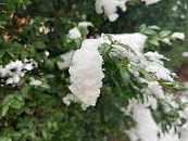 Почти месячная норма снега выпадет в Краснодаре 12 января