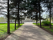 В Краснодаре и крае в воскресенье погода возьмёт курс на рекордное тепло до +21°С, туман и небольшую облачность