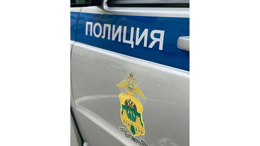В полиции Краснодара сообщили о еще одном зарегистрированном факте сброса кошки живодерами с балкона многоэтажки