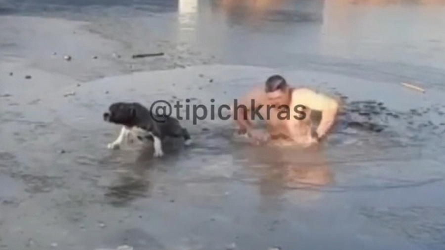 В Новороссийске мужчина спас собаку из ледяного плена 