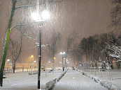 Суд приговорил экс-замгубернатора Кубани Власова к 11 годам колонии за взятку