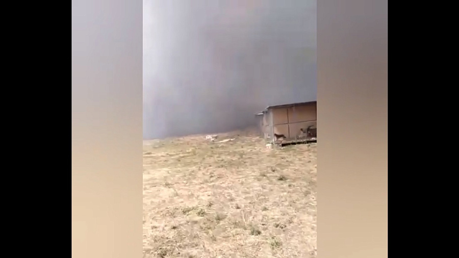 Едкий дым от пожара на свалке в Ейске заволок приют для бездомных животных