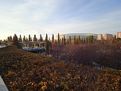 В Краснодаре железная дверь школьной столовой раздавила палец третьекласснику