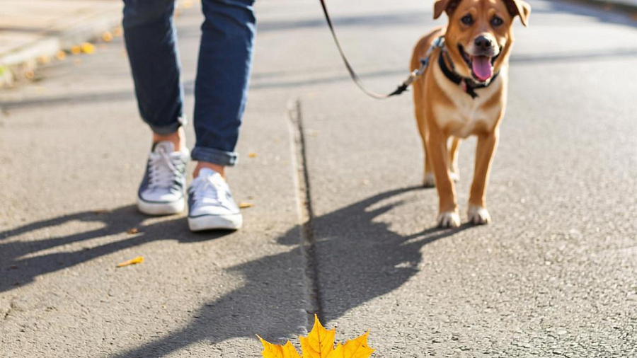 Активное Солнце готовит новую магнитную бурю — чего ждать 18 октября