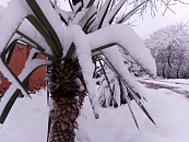 Непогода накроет Сочи на Новый год