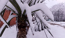 Непогода накроет Сочи на Новый год