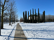 Больше 50 дронов ВСУ сбили над Кубанью, Черным и Азовским морями за ночь