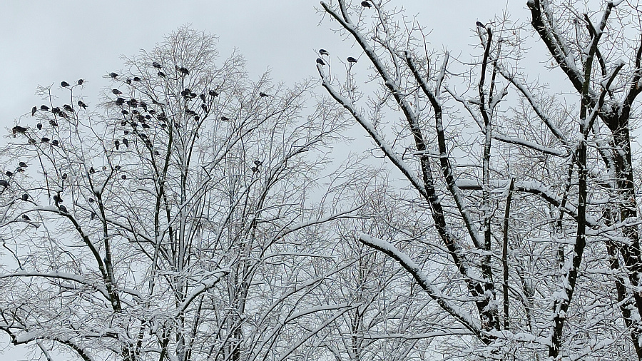Стало известно, в каких городах Кубани обновились температурные рекорды