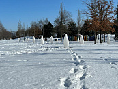 Сергей Галицкий выиграл особую номинацию новой премии «Герои Forbes»