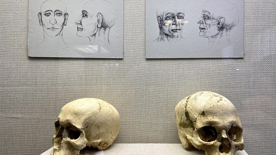 В Краснодаре открылась палеоантропологическая выставка «Чекупская трагедия. Жизнь и смерть в древнем мире»