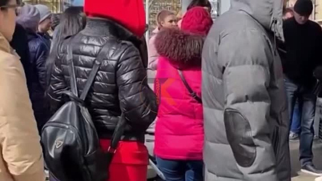  В краснодарской школе огромная очередь из родителей, записывающих детей в 1 класс, попала на видео