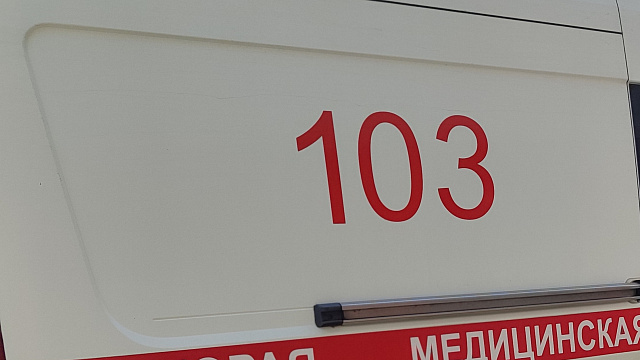 На Кубани стая собак напала на подростков 