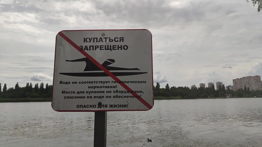 Власти Краснодара придумали как отучить горожан от купания в запрещенных местах