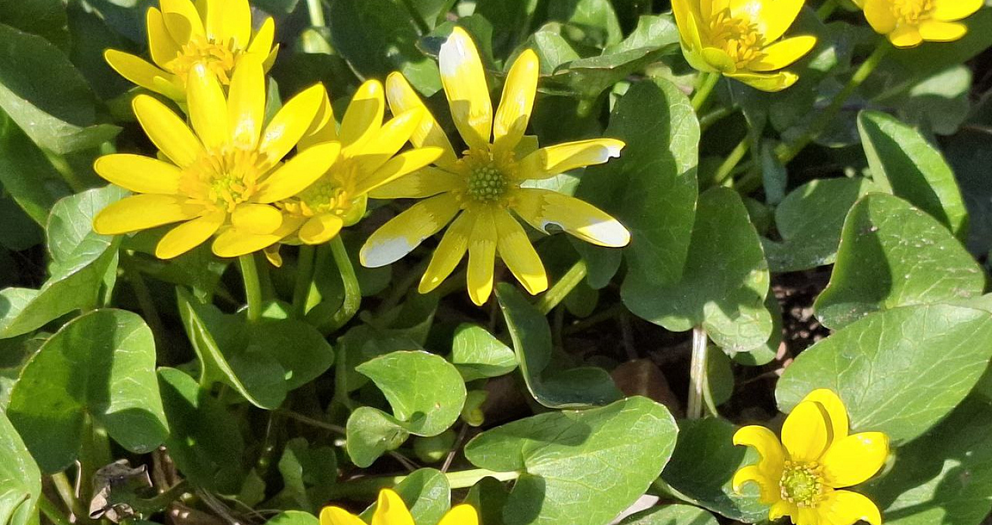 Сухая и ветреная погода ожидается на выходных в Краснодарском крае