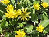 Сухая и ветреная погода ожидается на выходных в Краснодарском крае