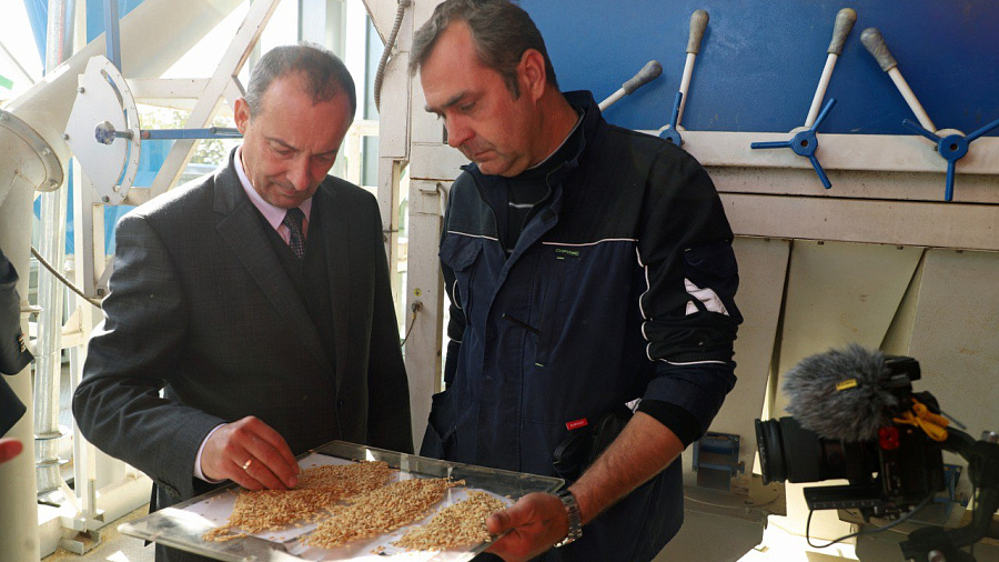 «Мы должны полностью обеспечить агропром семенами»: председатель Заксобрания Кубани прокомментировал внесение в Госдуму документа с изменениями в ФЗ о семеноводстве