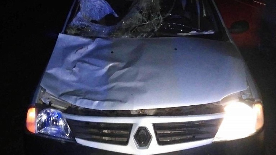 В Краснодарском крае водитель иномарки сбил насмерть мужчину