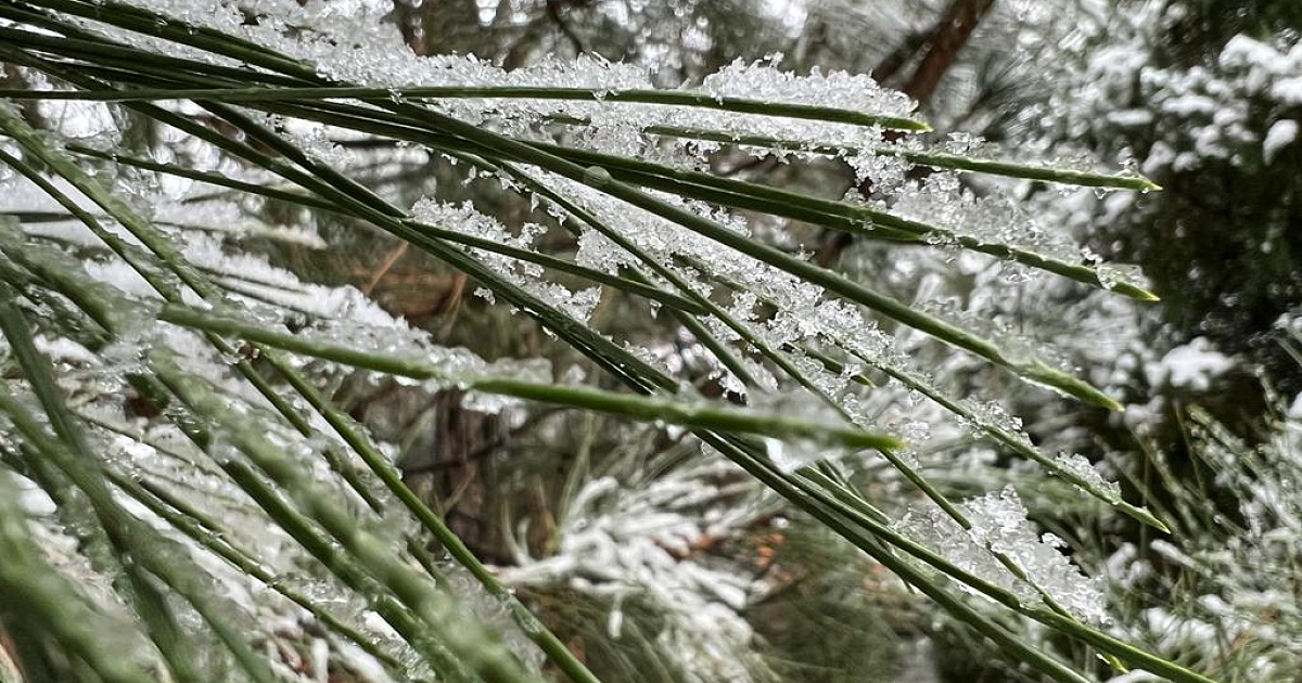 В Краснодаре и крае в воскресенье погоду определит циклон «Ваня ...