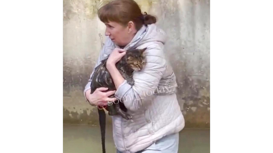 В Сочи женщина полезла в трубу с ледяной водой, чтобы спасти кота (ВИДЕО)