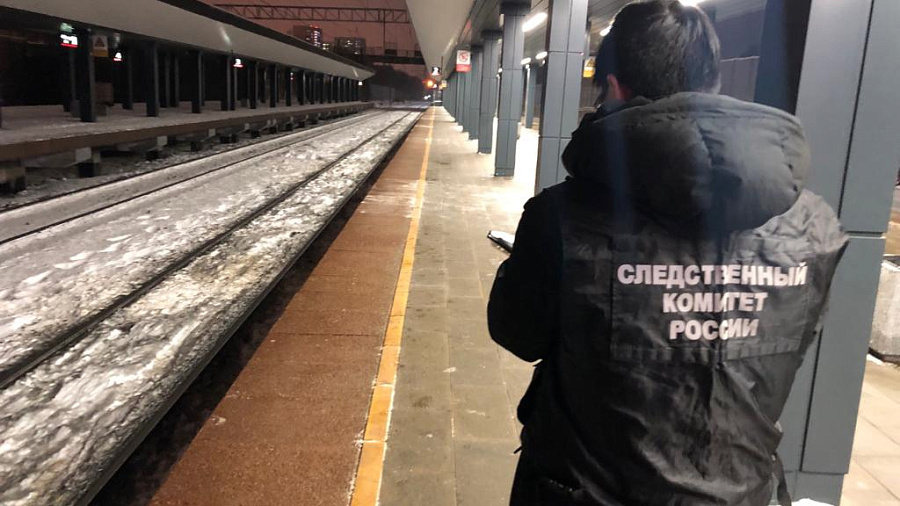 Поезд «Москва – Адлер» задавил насмерть двух человек