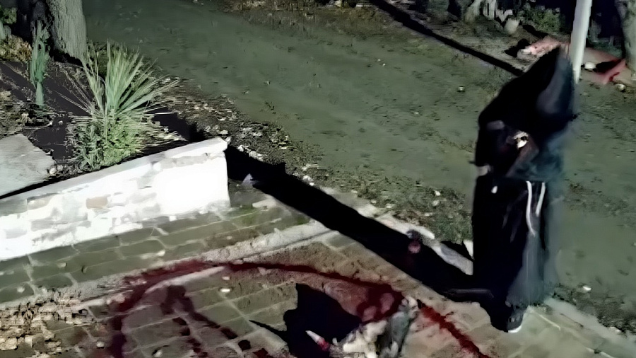 Сатанист* творит ужасные ритуалы на смерть во дворе жилого дома в Ростовской области