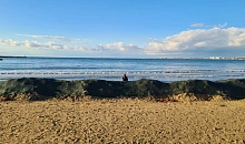 Суд отменил решение о взыскании 404 млн рублей за разлив мазута у берегов Кубани