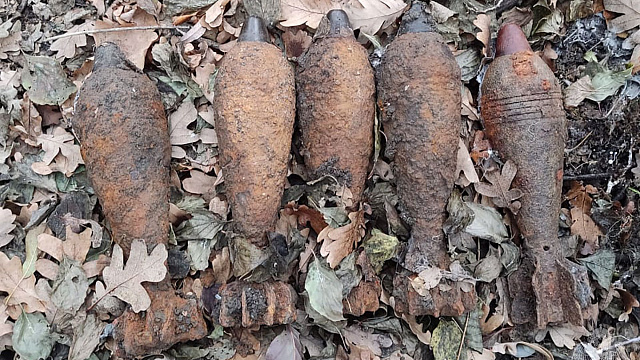 Жительница Краснодарского края нашла в лесу шесть мин и два снаряда