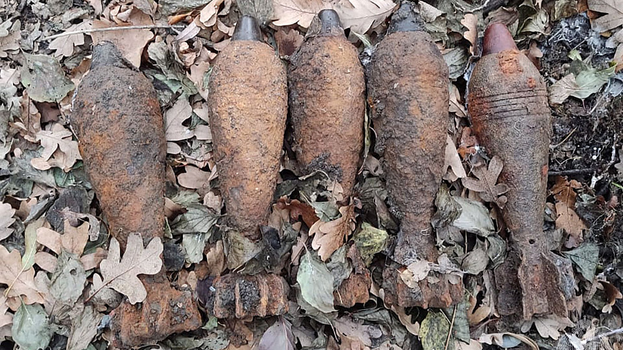 Жительница Краснодарского края нашла в лесу шесть мин и два снаряда