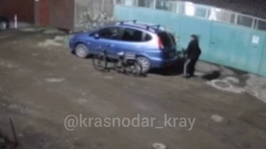 В Краснодаре велосипедист забил собаку камнями и попал на видео