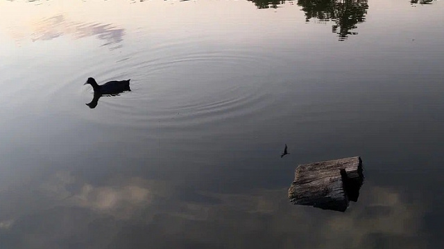 В Краснодаре готовят амбициозное благоустройство Карасунских озер