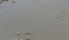 Канализационные воды затопили детский сад в Краснодаре 