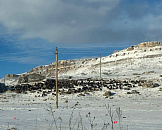 Прокуратура нашла тараканов в детских палатах Славянской ЦРБ
